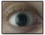 Untitled-3.png