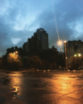 1551964338300.png