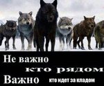 F528F2E0-446D-4D07-A503-2614BD9CEA05.jpeg