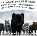0FEF4BFB-E0CD-43AE-B815-922B0D2CC84D.jpeg