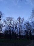 48276642-159B-47D3-AA1B-0AAE4F21A050.jpeg