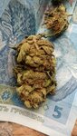 IMG_20200311_211336_272.jpg
