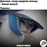 kan.jpg