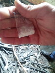 IMG_20200427_134841.jpg