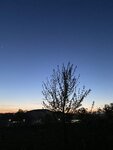 A0331344-E10B-4AE0-9DB2-38B8785355B1.jpeg