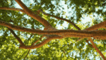 14838344cf24653171186.gif