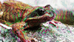 c331448b7fd0a13b1779c.gif