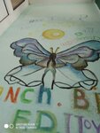 IMG_20200430_153613_315.jpg