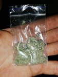 IMG_20201123_025131_981.jpg
