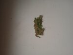 IMG_20201212_125240_1.jpg