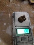 IMG-20201214-181216-001.jpg