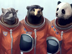 look.com.ua-595.jpg