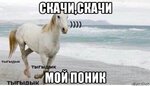 tigidik_102517250_orig_.jpg