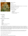 Opera Снимок_2021-02-27_022946_sortakonopli.org.png