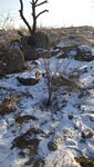 IMG_20210305_210938_610.jpg