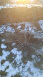 IMG_20210305_210959_584.jpg