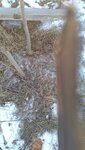 IMG_20210305_211004_471.jpg