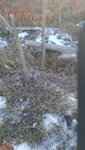 IMG_20210305_211007_787.jpg