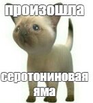1111.jpg