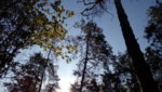 IMG_20190829_092500.jpg