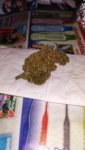 IMG_20190818_214223-01.jpeg