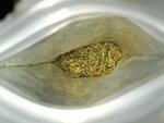 IMG_20191015_164900.jpg