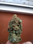 OG KUSH BLESS YO TRAP 2.jpg