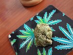 IMG_20191021_131858.jpg