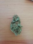 IMG_20191104_182054.jpg