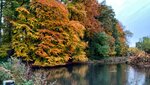IMG_20191111_153530-01.jpeg