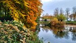 IMG_20191111_153115-01.jpeg
