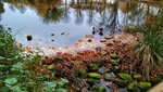 IMG_20191111_153125-01.jpeg