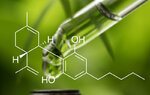 CBD_title.jpg
