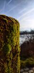 IMG_20191228_133931-01.jpeg