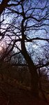 IMG_20191228_134956_1-01.jpeg