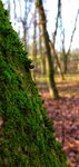 IMG_20191228_134650-01.jpeg