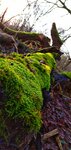 IMG_20191228_135045-01.jpeg