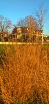 IMG_20200101_154030-01.jpeg