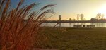 IMG_20200101_153715-01.jpeg