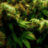 HARVESTSHOP