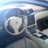 Bizon_biz