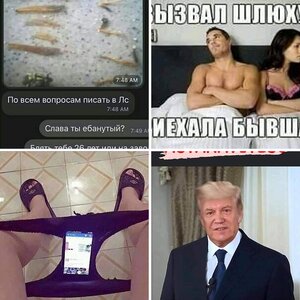 Sektabiz
