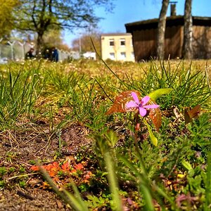 IMG_20191025_035450.jpg