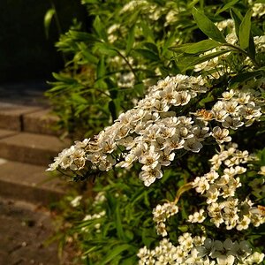 IMG_20191025_035431.jpg