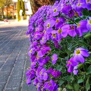 IMG_20191025_035439.jpg