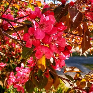 IMG_20191025_035443.jpg