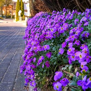 IMG_20191025_035440.jpg
