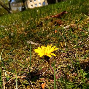 IMG_20191025_035453.jpg