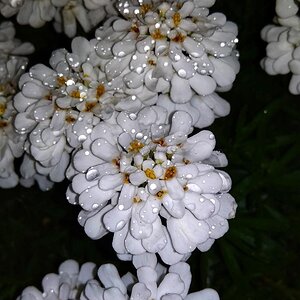 IMG_20191025_035337.jpg
