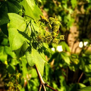 IMG_20191025_035354.jpg
